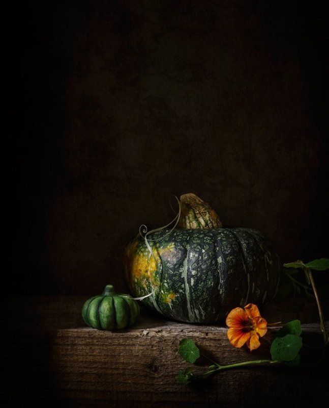 натюрморт, тыквы, настурция С тыквамиphoto preview