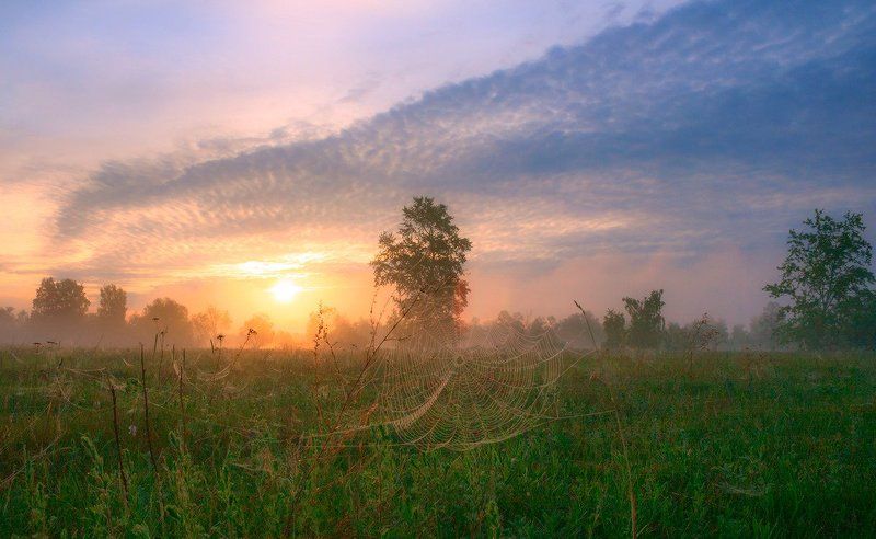 Утро ушедшего летаphoto preview