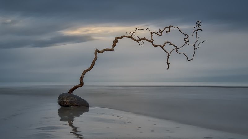 Kupanda фото превью