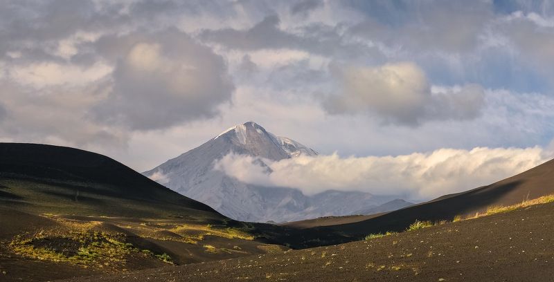 камчатка, толбачик, вулкан, лава, мёртвый лес, Толбачик и окрестностиphoto preview
