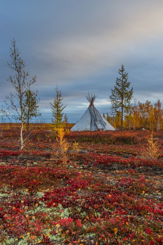 ямал , сибирь, природа, салехард , чум , осень \