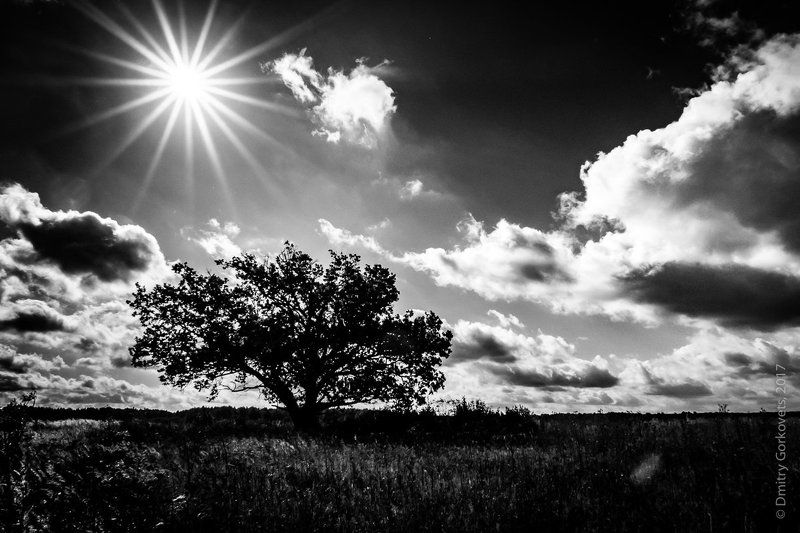 #bw #bwlandscapes #PhotoByDmitryGorkovets #black_and_white #highcontrast  Alonephoto preview