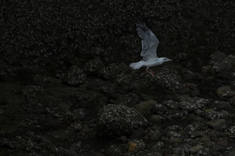 Fall of the day#**photo preview