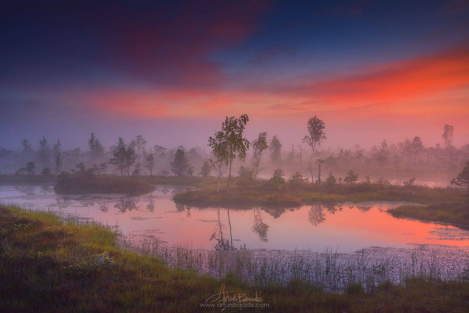 Кемерское болото. Автор: Arturs Barzdis Кемерское болото, Arturs Barzdis