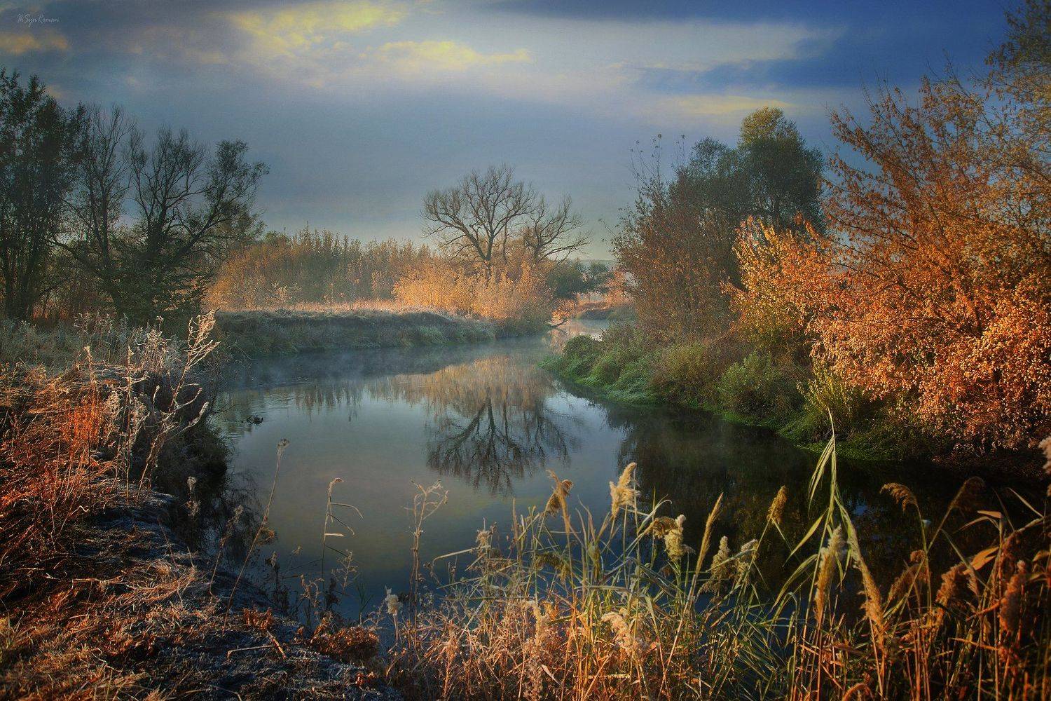 осень,утро,берег,река,камыш, Roma  Chitinskiy