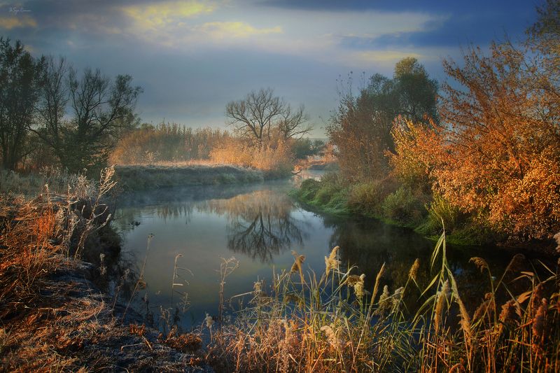 осень,утро,берег,река,камыш Чудная пора ...photo preview