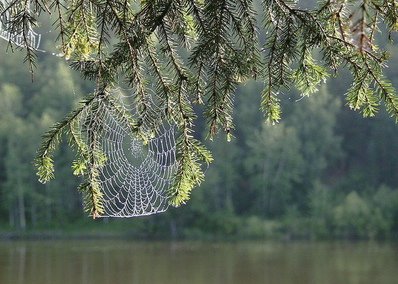 Над рекойphoto preview