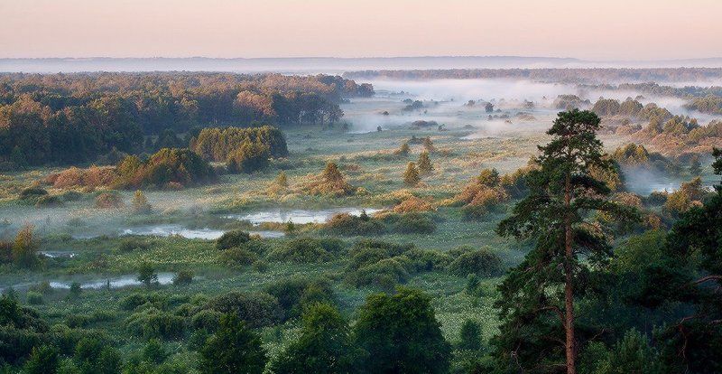 природа утро лето Решетихинские далиphoto preview