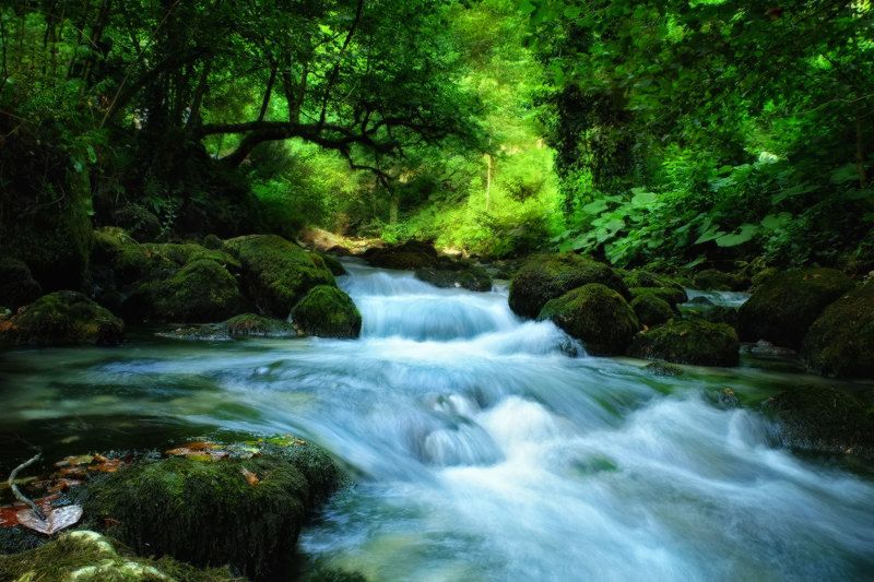 в ущелье реки Псырцхаphoto preview