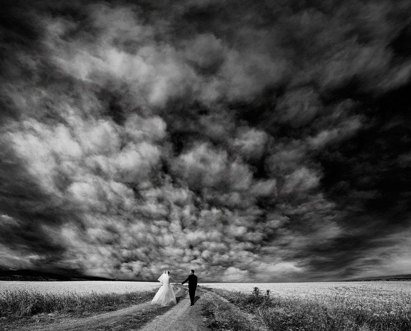 The Girl With Pearl\'s Hairphoto preview