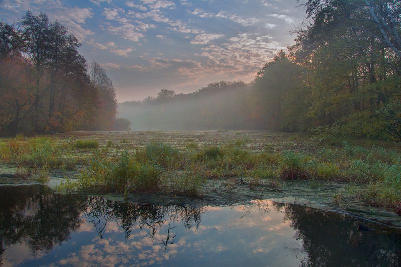 осень,утро,берег,река Уж давно поросло ...photo preview