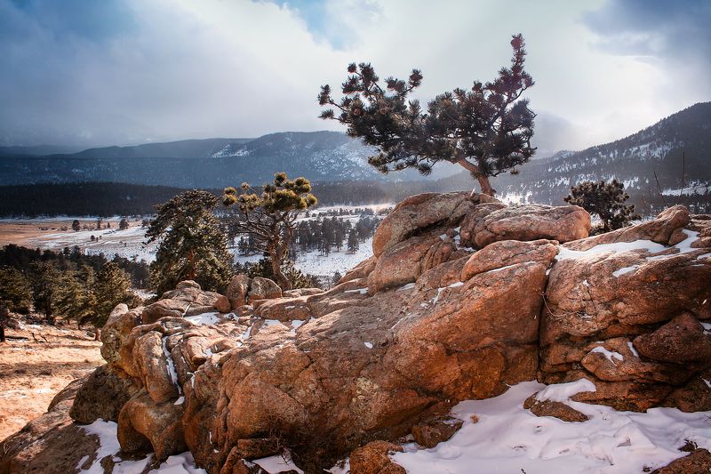 rocky mountains,the rockies, горы, скалы, камни, деревья, сосны, ели, туман, *Rocky mountains...*photo preview