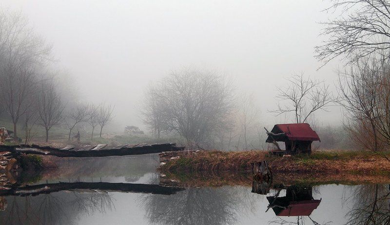 Foggy mirrorphoto preview