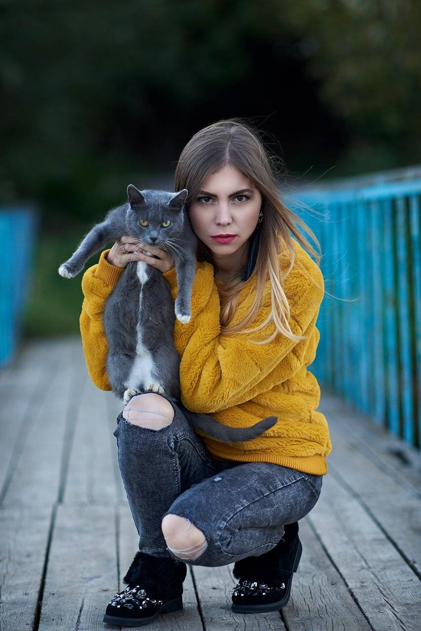 Автор: Веселов Александр , Веселов Александр