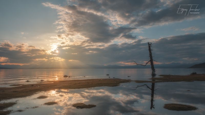 хубсугул, монголия, закат, солнце, облака, туча, дерево, озеро Закат у высохшего дереваphoto preview