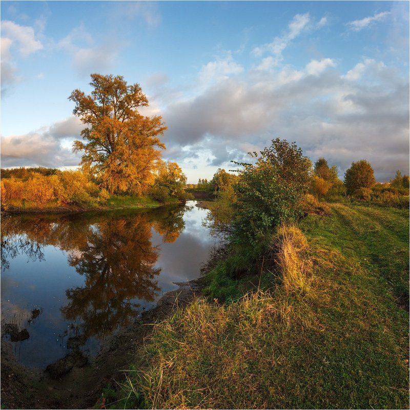 ласьва пермь река золотая осень жёлтый краски небо деревья Золотая осень на Ласьве.photo preview