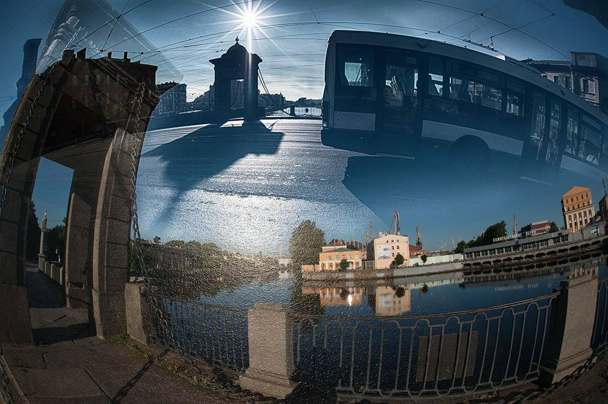 спб, мост, Ольга Александрова