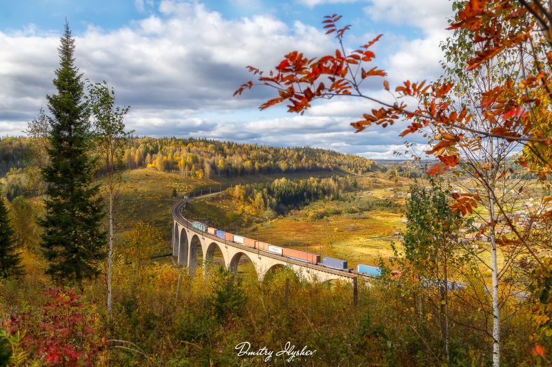 В Хогвартс осеньюphoto preview