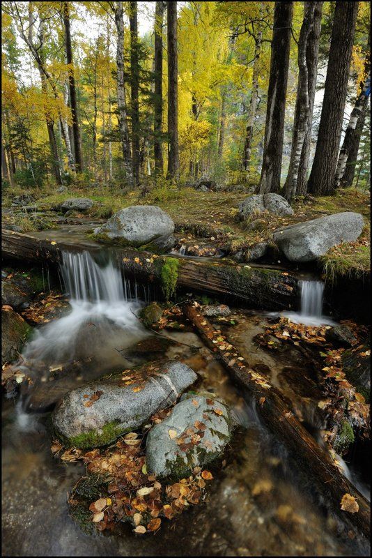 Осенняяphoto preview