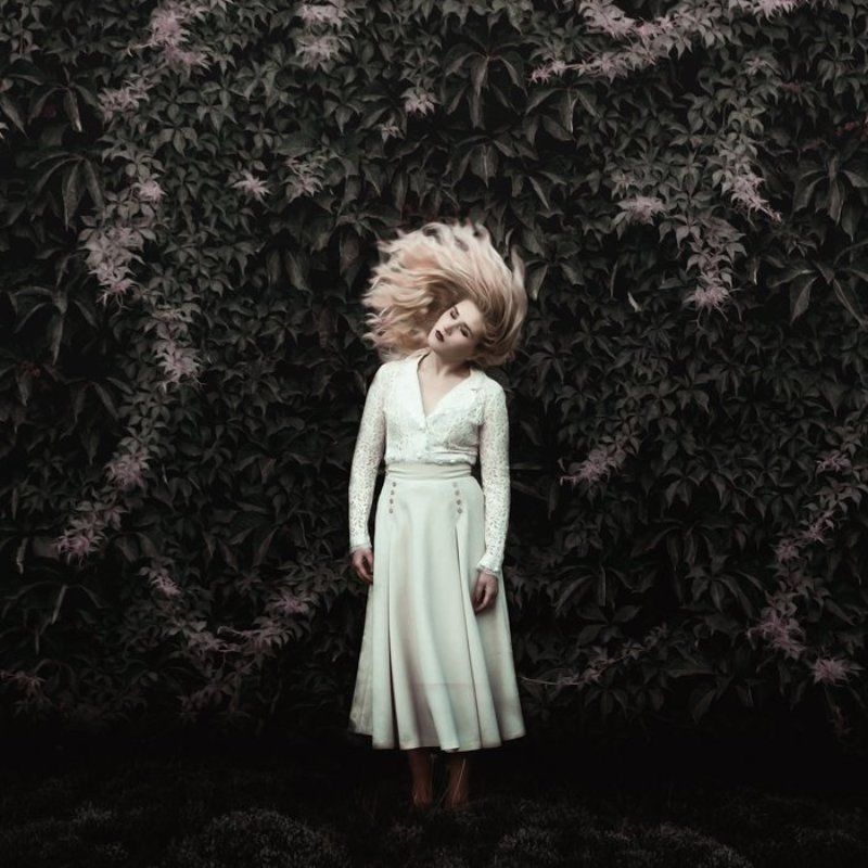 Untitledphoto preview