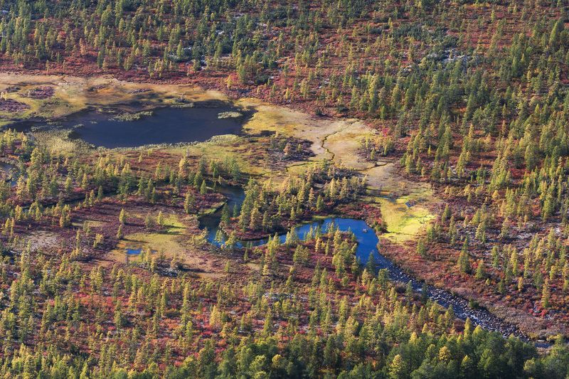россия, колыма, озеро джека лондона, осень, ручей, река, болото, озеро, неведомый Неведомыйphoto preview