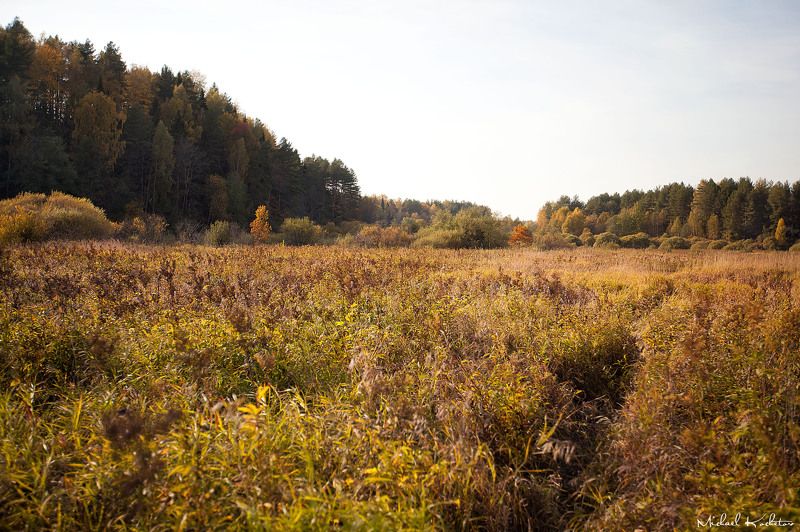 The fieldphoto preview