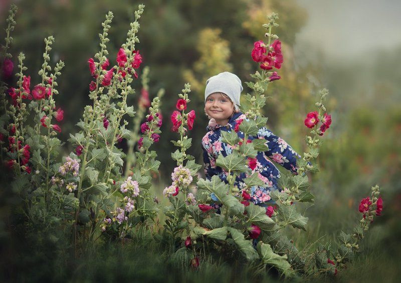 девочка, мальвы В мальвахphoto preview