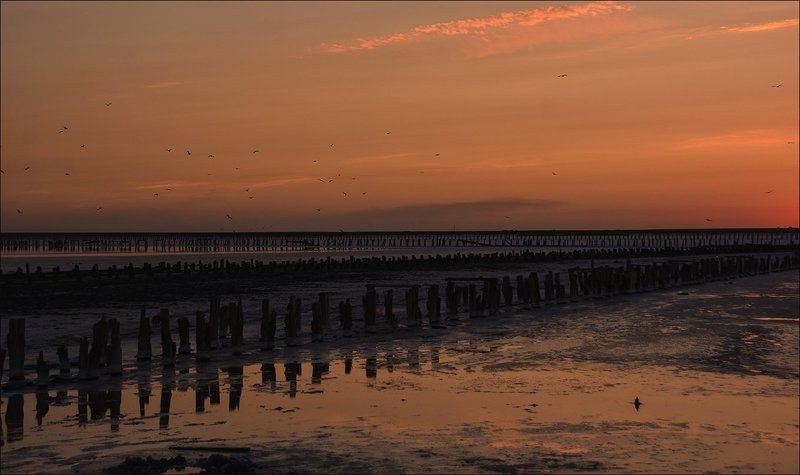 закат зоря темнеет птицы солончак столбы краски путь мордор Темнеет: смена декораций или Дорога в Мордорphoto preview