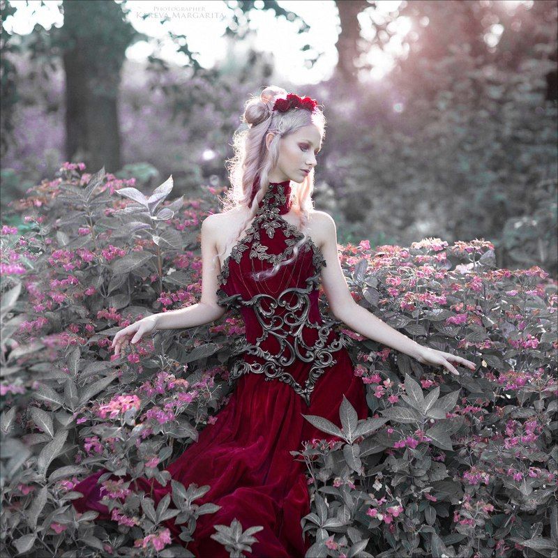 Голландияphoto preview