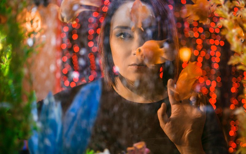 Aquariumphoto preview