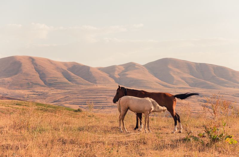 armenia фото превью