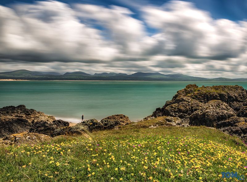 sheep wales landscape photography colour longexposure scenery view beautiful uk sky clouds \