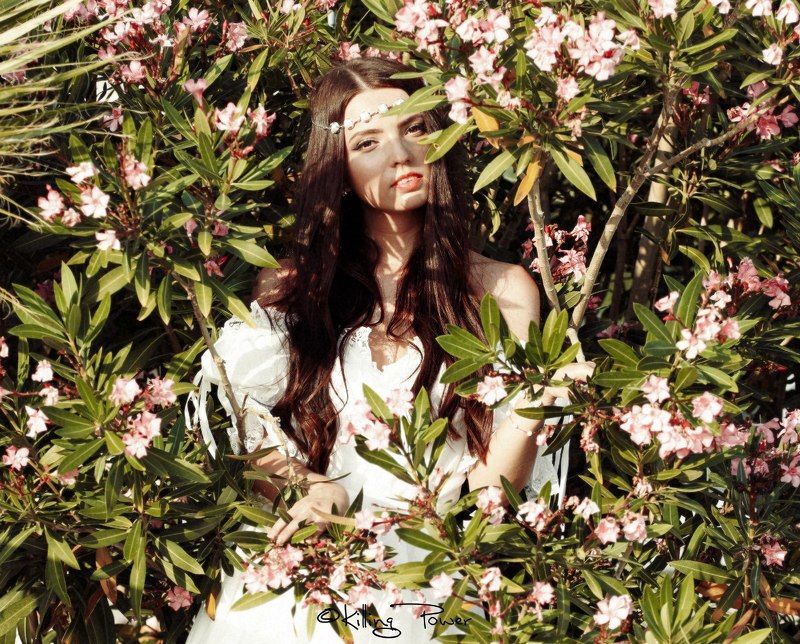 the princessphoto preview