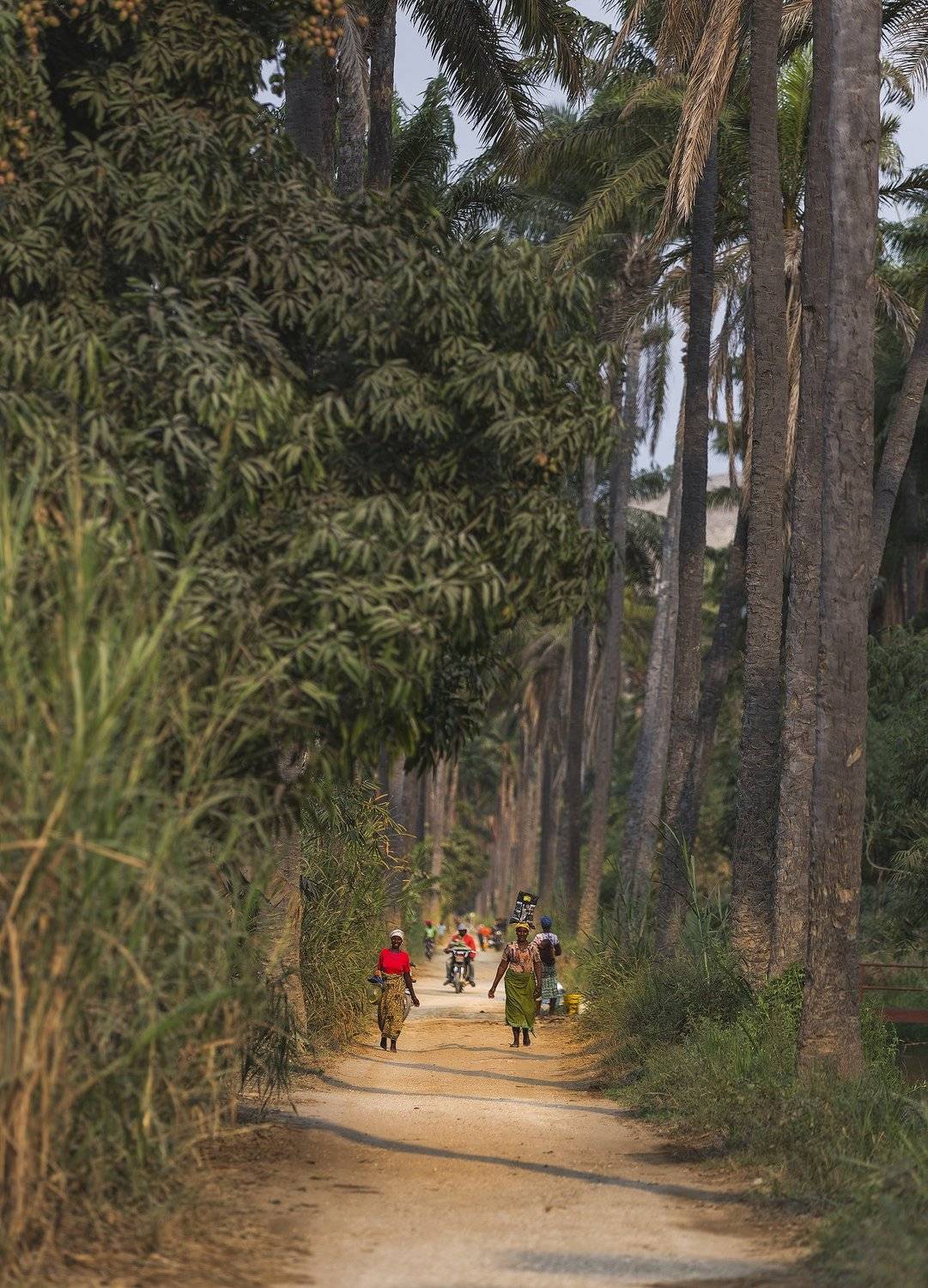 Другая жизнь. Автор: Гайдабуров Сергей Ангола, аллея, жара, пальмы, , Гайдабуров Сергей