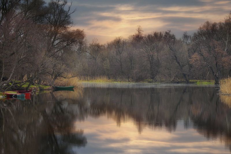 осень,утро,берег,река,лодочки Лодочная ...photo preview