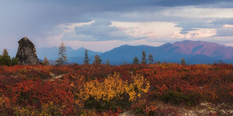 россия, колыма, озеро джека лондона, плато, закат, осень Плато Неведомогоphoto preview