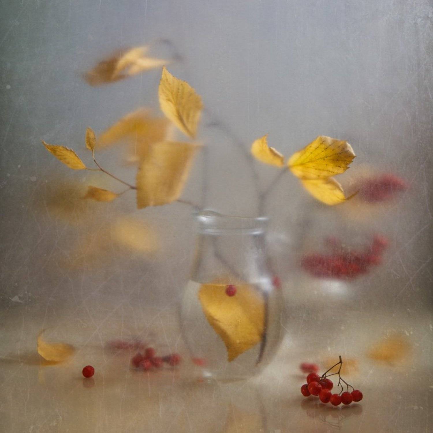 Осторожно осень крадётся. Автор: Виктория осень, листья, полиэтилен, мутность, натюрморт, рябина, Виктория