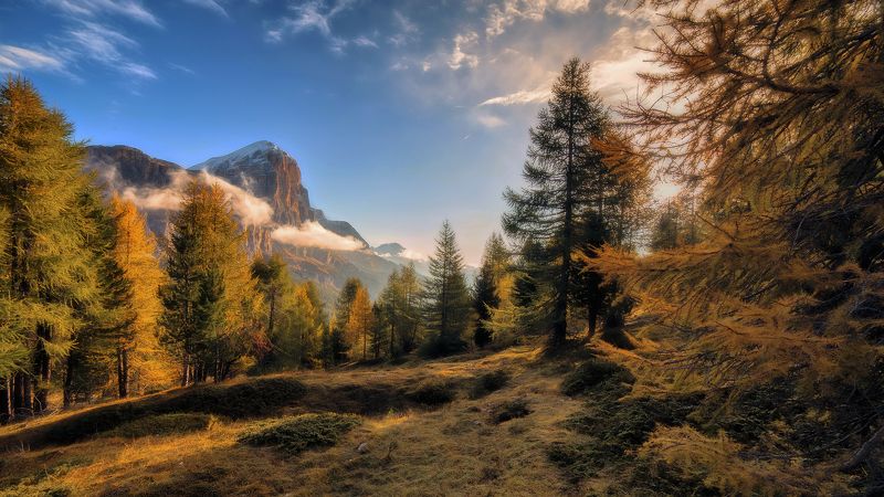 My worksphoto preview