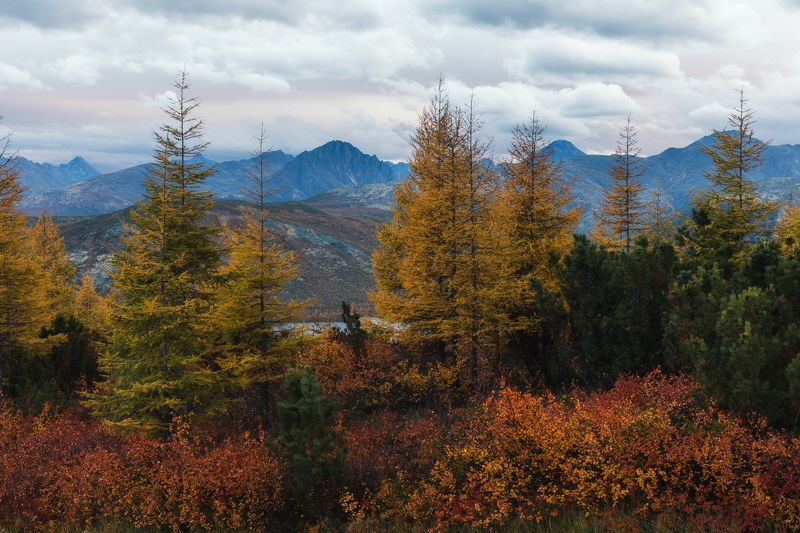 россия, колыма, озеро джека лондона, осень, закат Большой Аннгачакphoto preview
