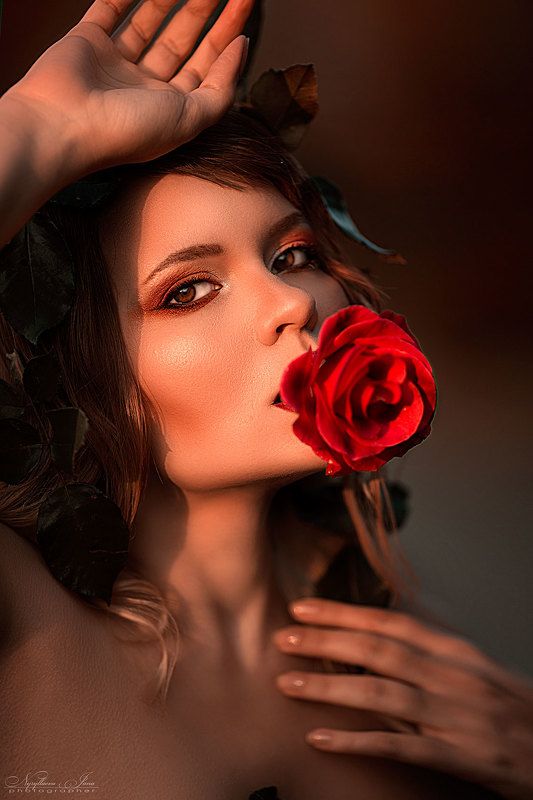 розаphoto preview