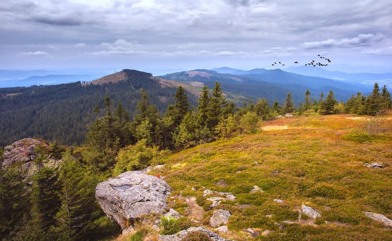 field, landscape ,nature ,grass ,green ,countryside, mountain ,valley, peak ,hill, rural, dolomites ,meadow, grassland ,hillside ,mountain pass, alto adige ,bucegi ,grassy ,piatra craiului ,apennines, trentino-alto  ,adige ,gqnsn   pi Autumn..photo preview