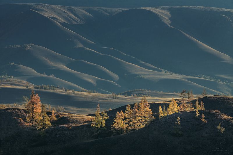 Курайская степьphoto preview