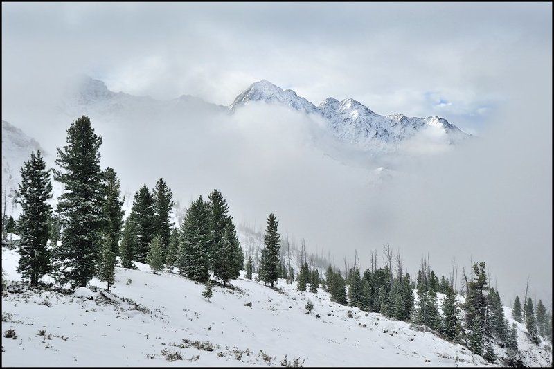 У нас уже зимаphoto preview