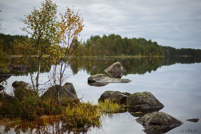 карелия_линдозеро, пейзаж, осень, октябрь, золото, закат, озеро Карельский этюд. Линдозероphoto preview