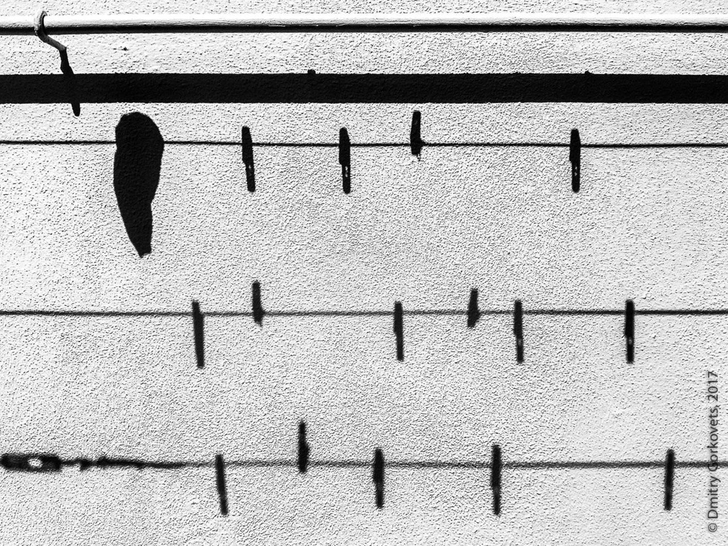 #bw #bwphotography #PhotoByDmitryGorkovets #street #streetphoto, Горковец Дмитрий