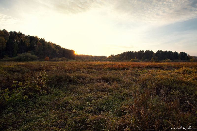 The fieldphoto preview