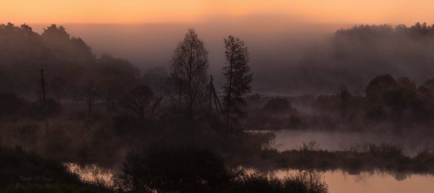 пейзаж, ленобласть, туман, landscape, nature, природа, foggy, forest, рассвет, болото, ленинградская область, Таня SHE (Aiya)