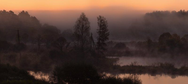 пейзаж, ленобласть, туман, landscape, nature, природа, foggy, forest, рассвет, болото, ленинградская область На исходе сентября...photo preview