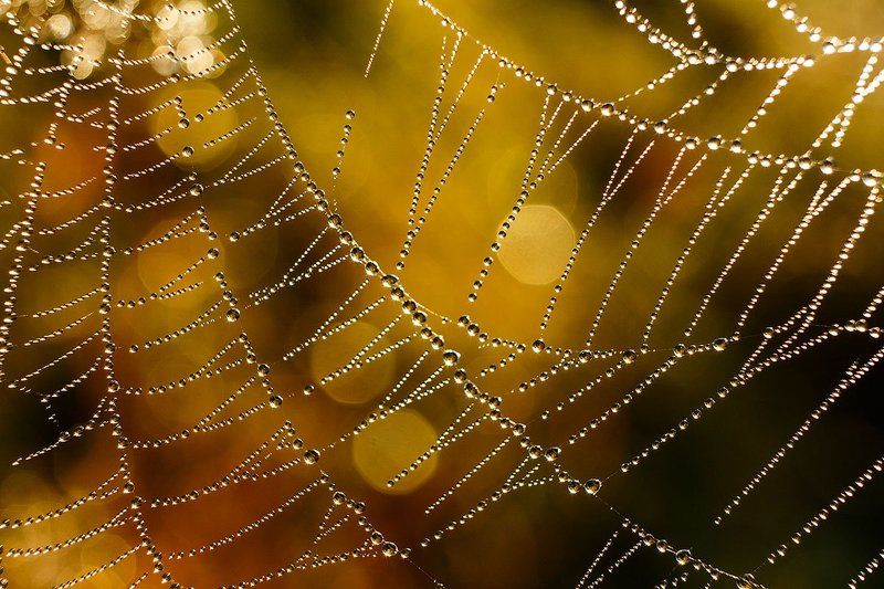 Сентябрьphoto preview