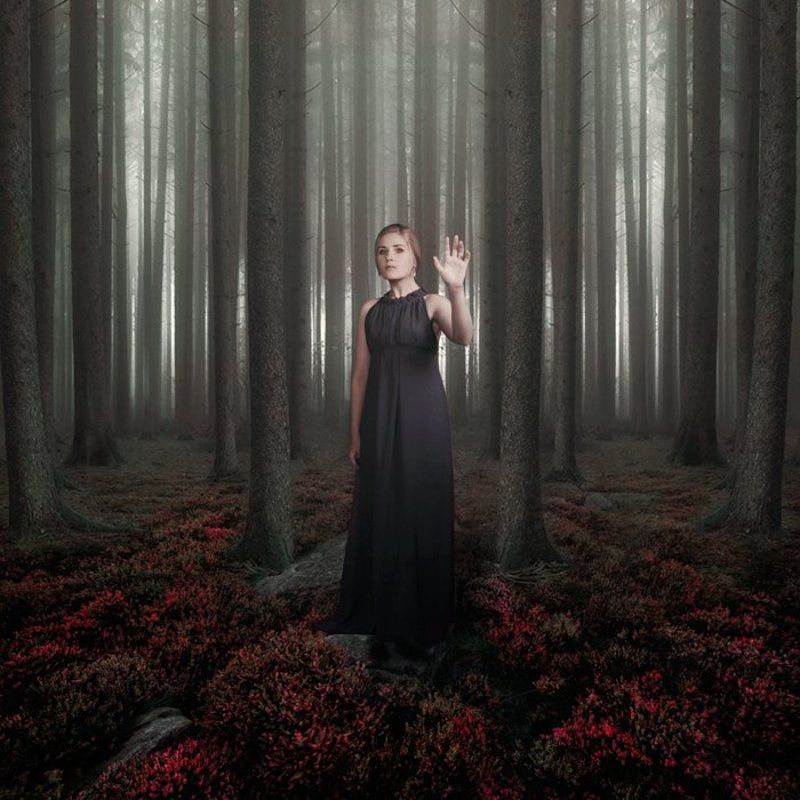 Untitledphoto preview